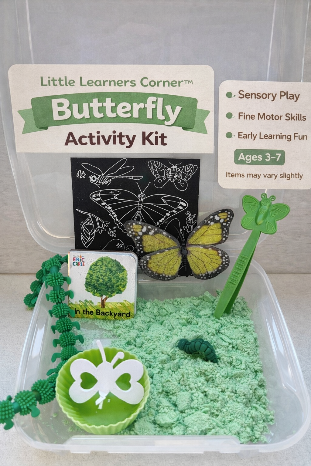 Butterfly Activity Kit
