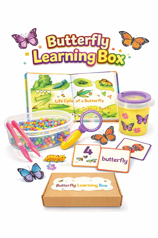 Butterfly Learning Box
